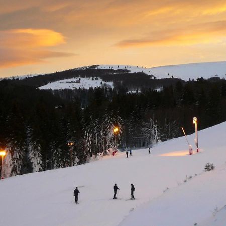 Апартаменты Ma Montagne Chic Ла-Бресс Экстерьер фото